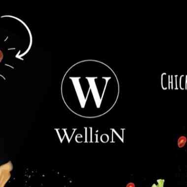 Logo - Wellion - Logo Wellion